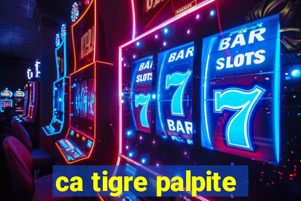 ca tigre palpite